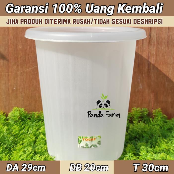 Pot Tinggi Pirus Besar Yogap no 30 - Bening