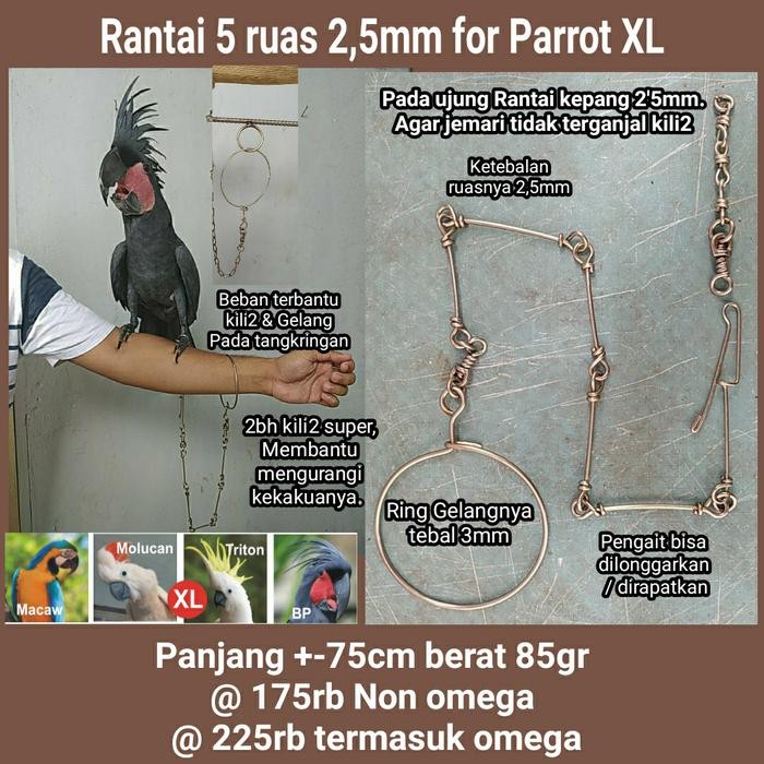 Paket Ring Kaki Omega dan Rantai Macau BNG hingga Macaw HYACHINT