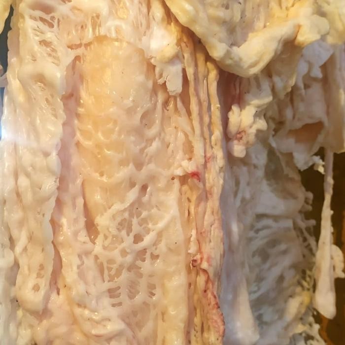 SerbaDaging- Lemak Kambing / Gajih Kambing Segar 1.0Kg