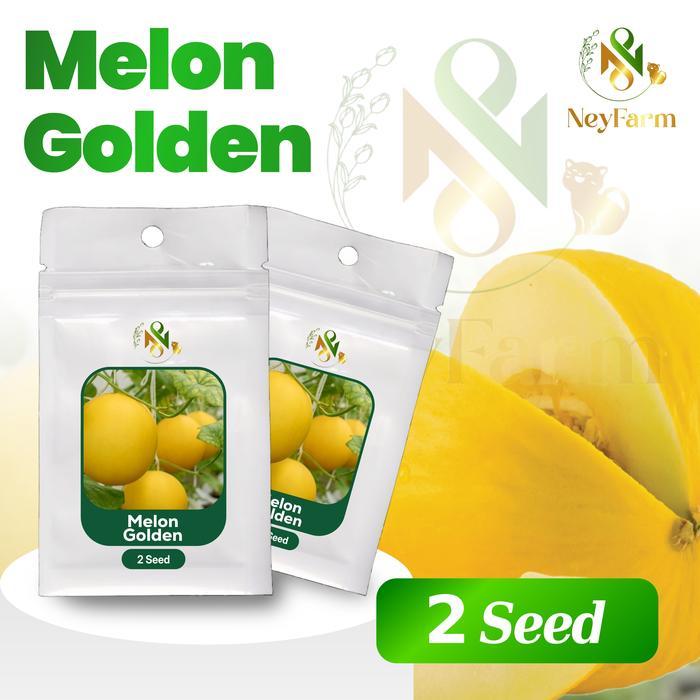 2 Biji Benih Melon Golden Buah Melon Benih Buah - Buahan Berkualitas