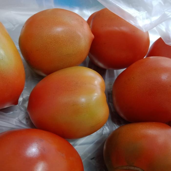 

Pilihan- Tomat Segar / Buah Tomat / Bumbu Dapur Segat 1Kg