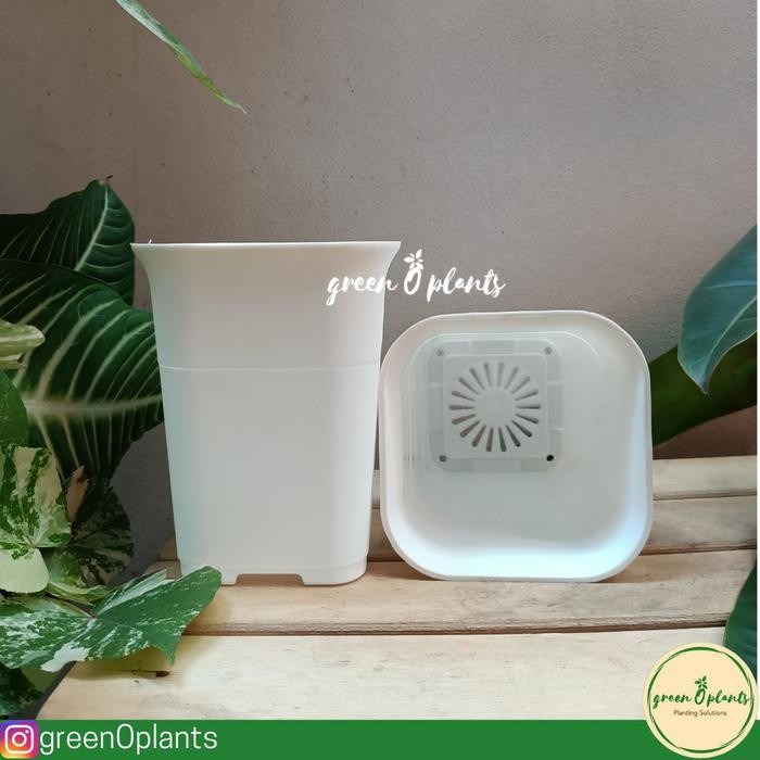 Grosir Pot NKT Kotak 12 Putih Lusinan