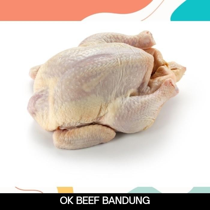 

Pilihan- Ayam Potong Broiler / Ayam Negri / Ayam Potong Utuh / Whole Chicken