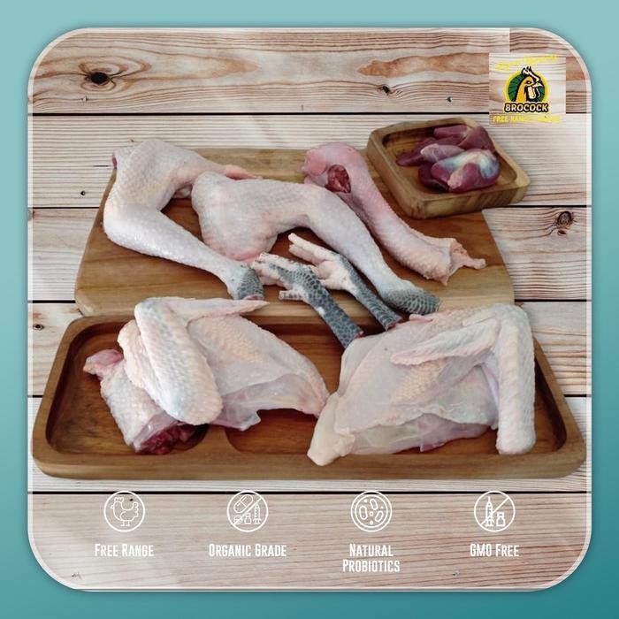 

Pilihan- Ayam Kampung Brocock Utuh