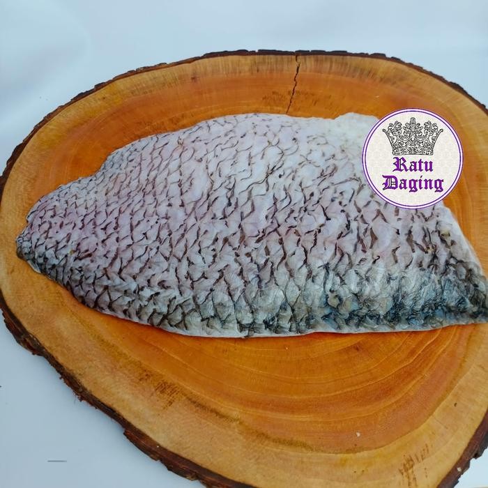 Pilihan- Ikan Gurame Fillet 500Gr - Ikan Gurame Fillet 500 Gram