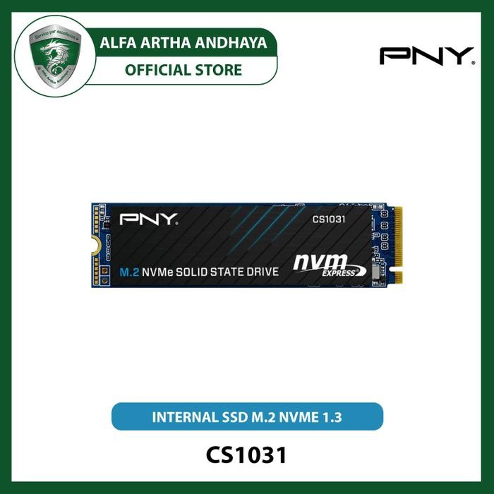 PNY CS1031 M.2 2280 NVMe Gen3x4 SSD Internal