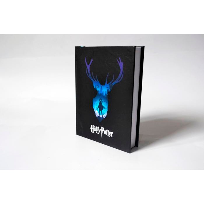 Pocket Book Harry Potter Hardcover