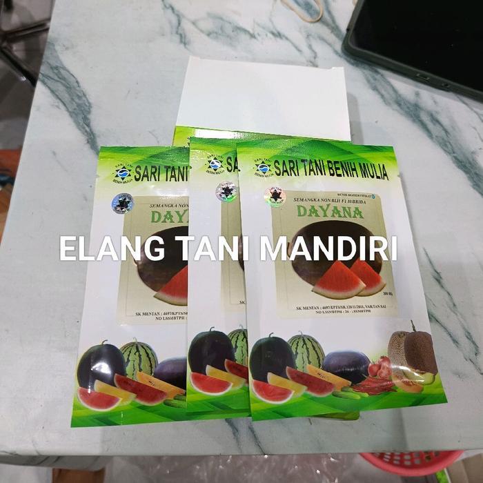 Benih Bibit Semangka Non Biji Dayana F1 (BONUS KAOS PEMBELIAN 8 PCS) Bentuk Jumbo Lonjong kulit