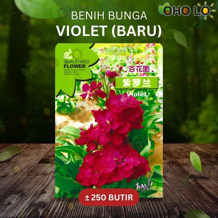 Juwara_Syatu 250 Butir Benih Bunga Violet Afrika Merah / Red African Violets Import Kemasan Original