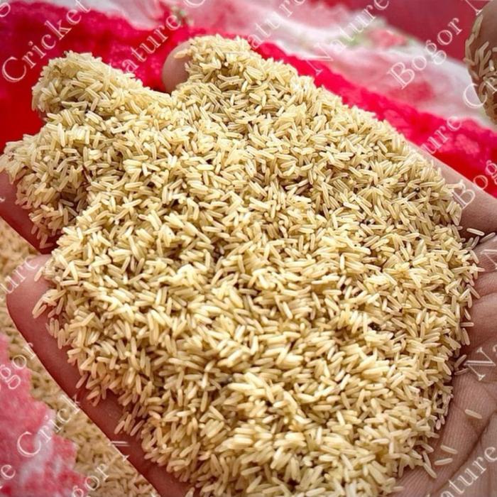Jayus - Paket Tj 500 G & Vitamin Jangkrik Af-Jk Berkualitas Bergaransi Untuk Pakan Burung