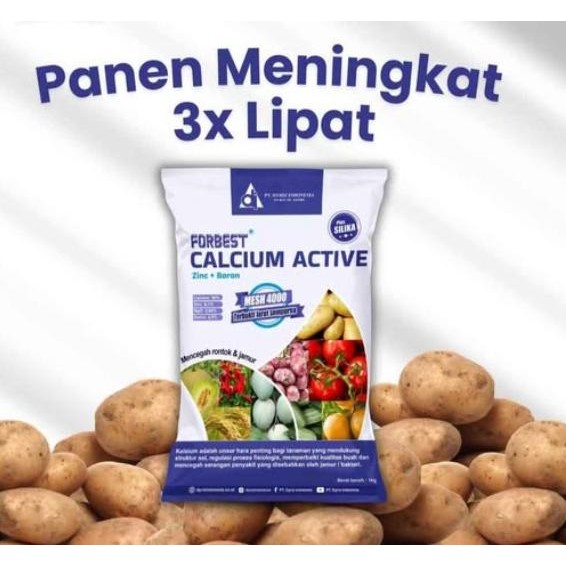 

Promo Forbest 1 Kg Calcium Active Pupuk Forbes Kalsium Aktif Boron Silika Zinc Cegah Rontok Bunga