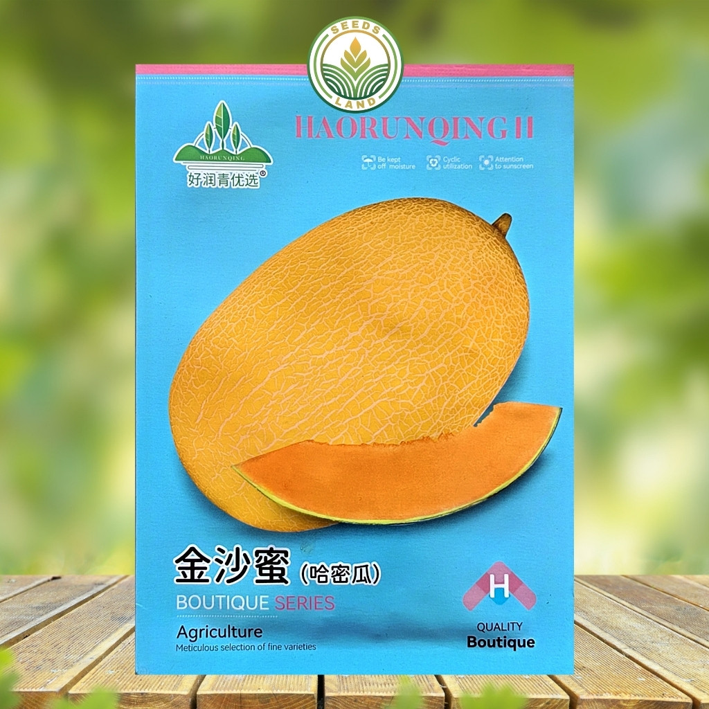 BIJI BENIH BUAH MELON HAMI KUNING MADU MANIS | HAMI GOLDEN KEMASAN ORIGINAL ISI ± 50 BUTIR