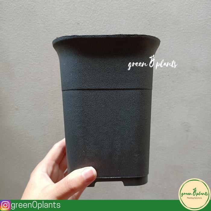 Grosir Pot NKT Kotak 12 Hitam Lusinan