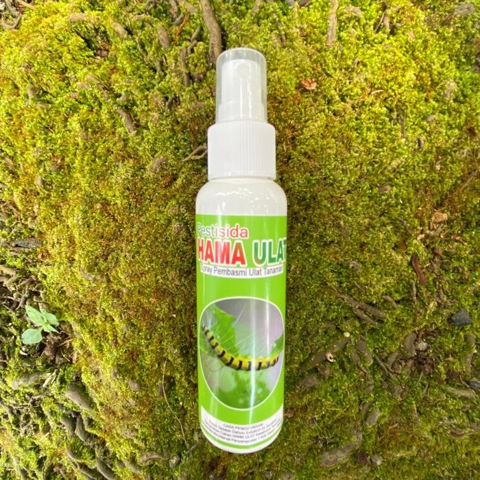 PESTISIDA Spray Pembasmi Hama Ulat Tanaman Ulat Bulu (100ML)