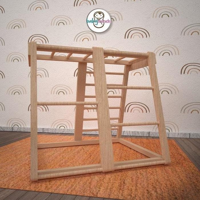 TGR MONKEY BAR BABY GYM