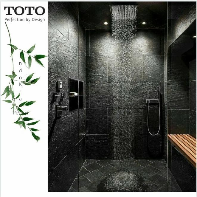 Toto Tx499Sn Wall Shower Ceiling Rain Shower Toto Head Shower Toto