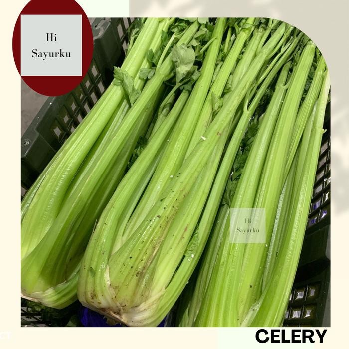 

Pilihan- Hisayurku Fresh Celery Stick Import / Seledri Stick 1 Kg