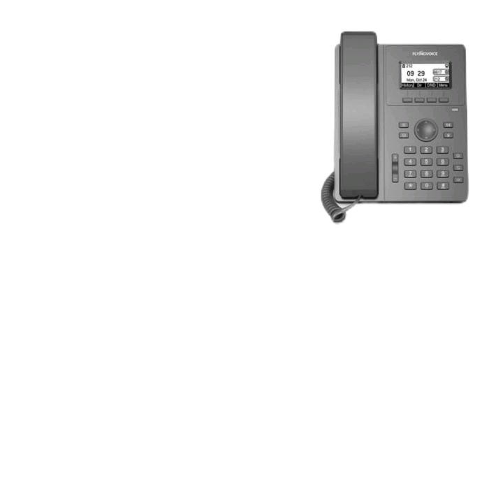 IP Phone FlyingVoice P10P POE Voip IpPhone