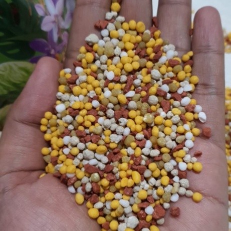 Terlaris - 25 Gram Pupuk Nutrisi Russell Cote