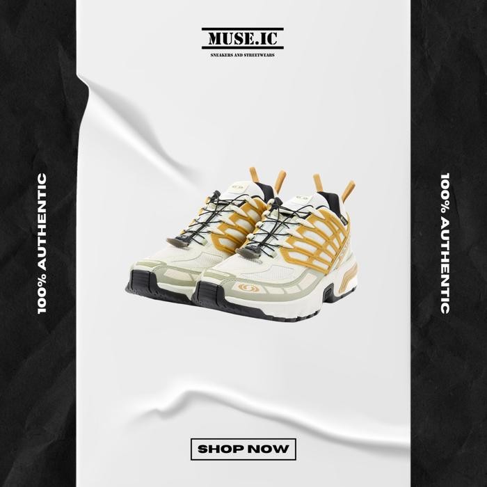 Salomon Acs Pro Gore-Tex Icicle Antelope Tea