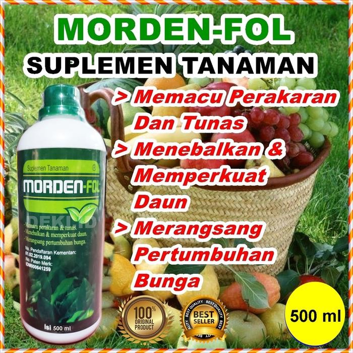 

Promo Mordenfol 500 Ml Pupuk Cair Magnesium Pospat Morden Foll Fol Fospat Nutrisi Daun Tanaman Bunga