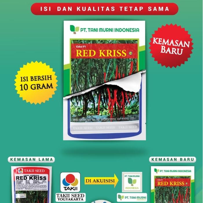 Jlterang Benih Cabe Keriting Red Kriss