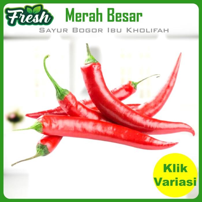 

Pilihan- Cabe Merah Besar Segar Bumbu Dapur Sayuran Segar Bogor
