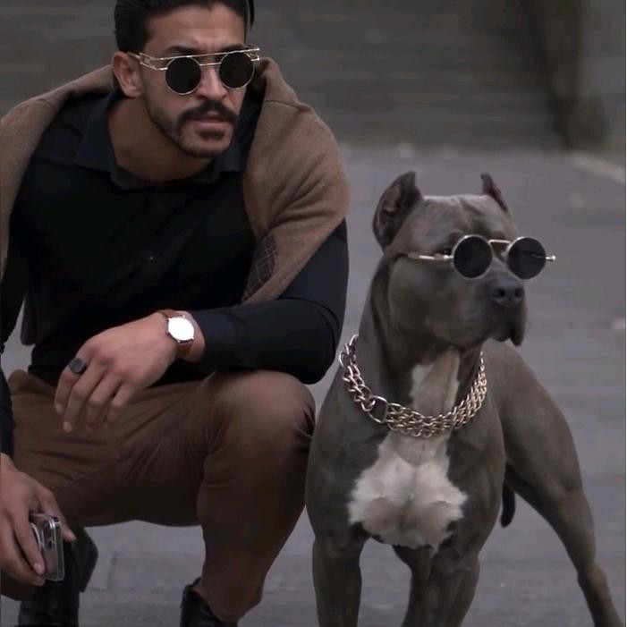 Chocolatoslatoe Kalung Rantai Anjing Besar Tebal Dobel