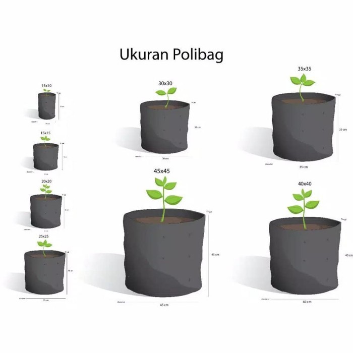 Flash Sale - 25 Polibag Polybag Uk 8x15