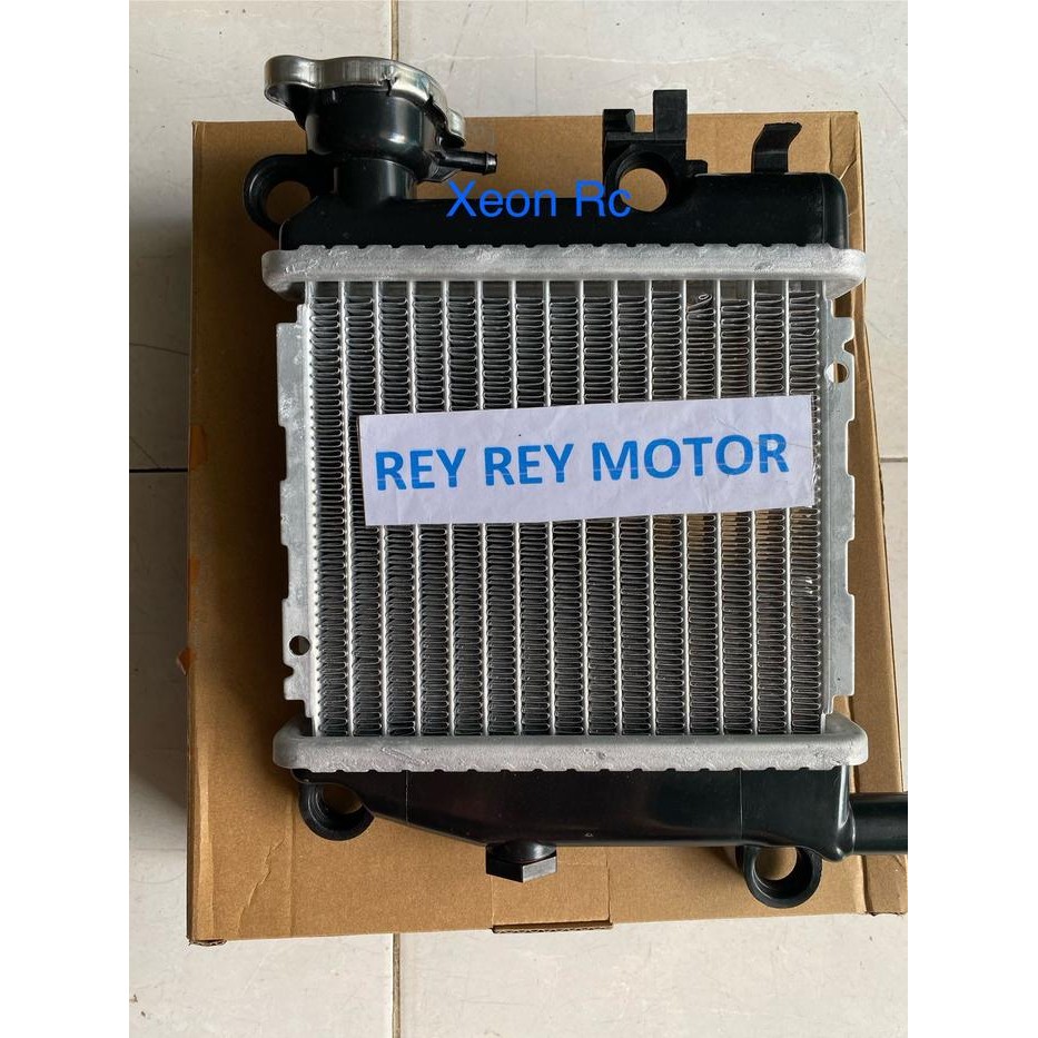 Radiator Xeon Rc/Xeon 125/Mio Gt 125+Tutup Radiator