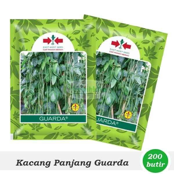 [ Benih Kacang Panjang Guarda (Cap Panah Merah) ]