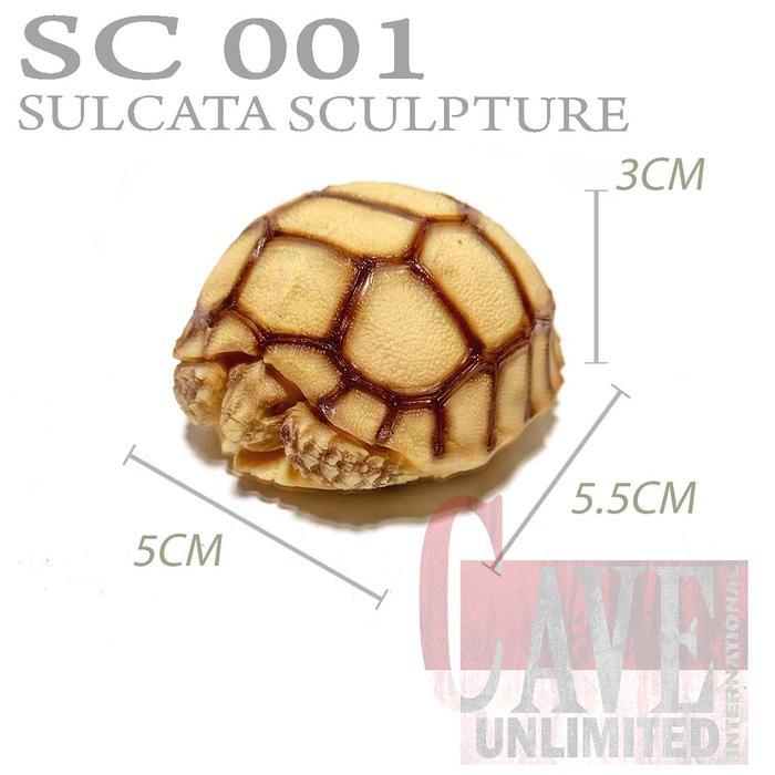 Replika Patung Kura-Kura Darat Sulcata Miniatur Pajangan Terrarium Natural - Baby Sulcata