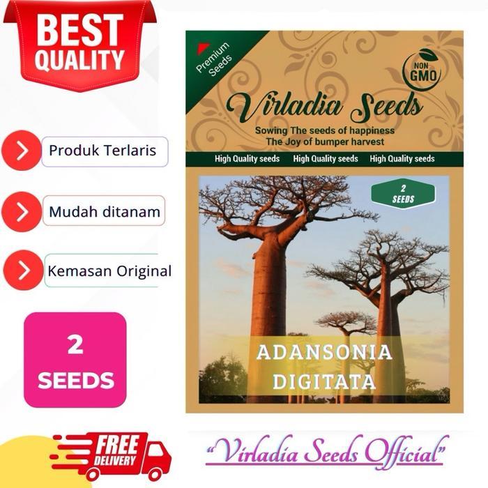 [Virladia Seeds] 2 Biji Benih Pohon Raksasa Baobab