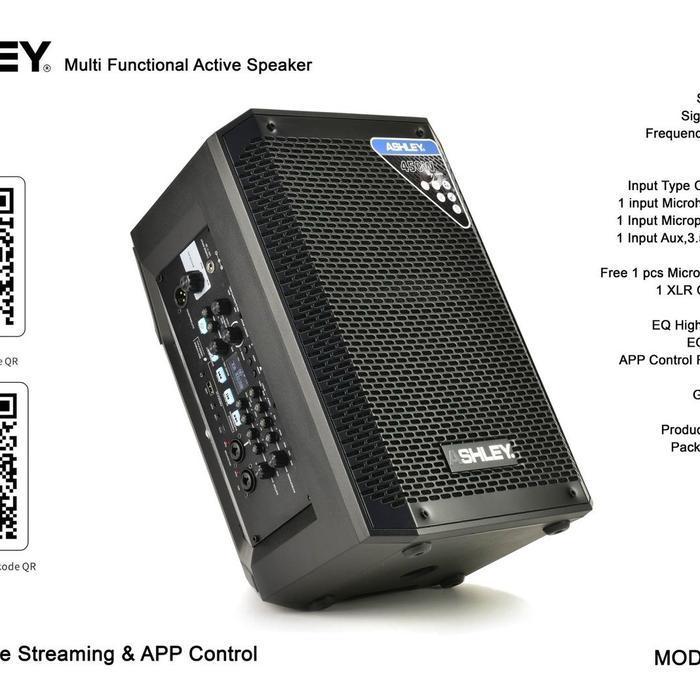 SPEAKER PORTABLE ASHLEY ST 810 8 INCH 450 WATT AKTIF MULTIFUNGSI SPEAKER USB BLUETOOTH GARANSI ORIGI