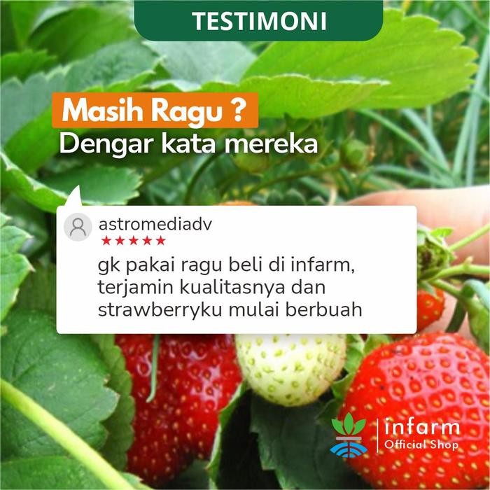 

Promo Infarm - Nutrisi Tanaman Ab Mix Strawberry 1000 Liter Untuk Hidroponik Dan Tanah Ab Mix Cair