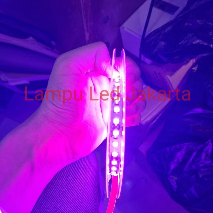 Pilihan- Lampu Led Strip 120 Mata Ungu Dc 12V 5Meter. Led Strip Purple Ungu 5M