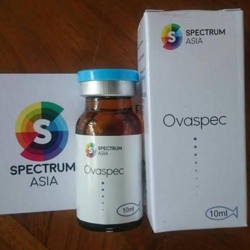 OBAT HORMON IKAN OVASPEC /PENGGANTI OVAPRIM 10 ML