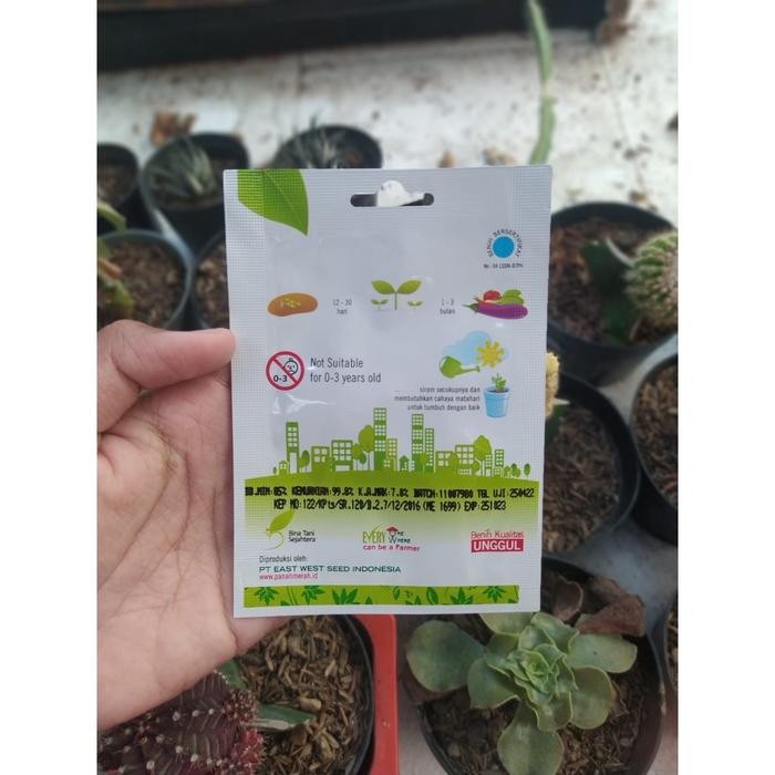 ID BENIH BIBIT MELON KUNING PANAH MERAH - MELON ALISHA F1