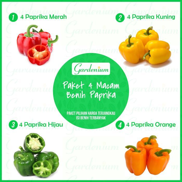 BIBIT F1 PAKET 4 MACAM BENIH TANANAM PAPRIKA PAKTANI