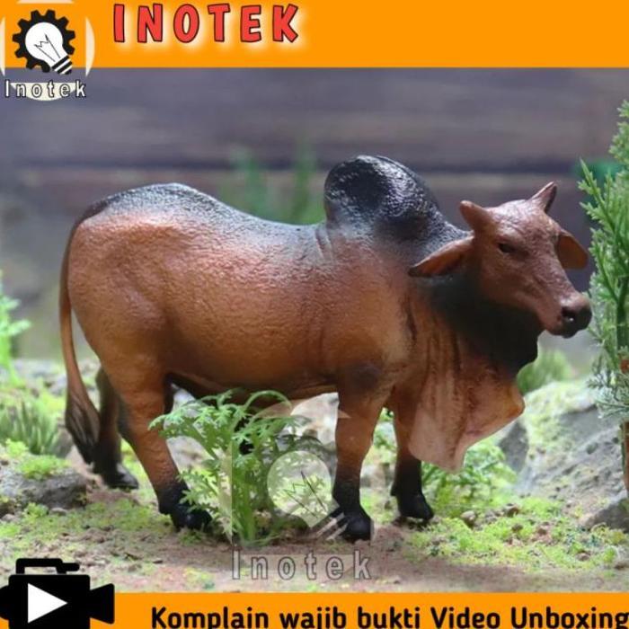 Ready Mainan Sapi Berpunuk Miniatur Sapi Hewan Kurban
