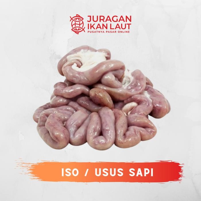 

Pilihan- Iso / Usus Sapi Berkualitas - 500 Gram