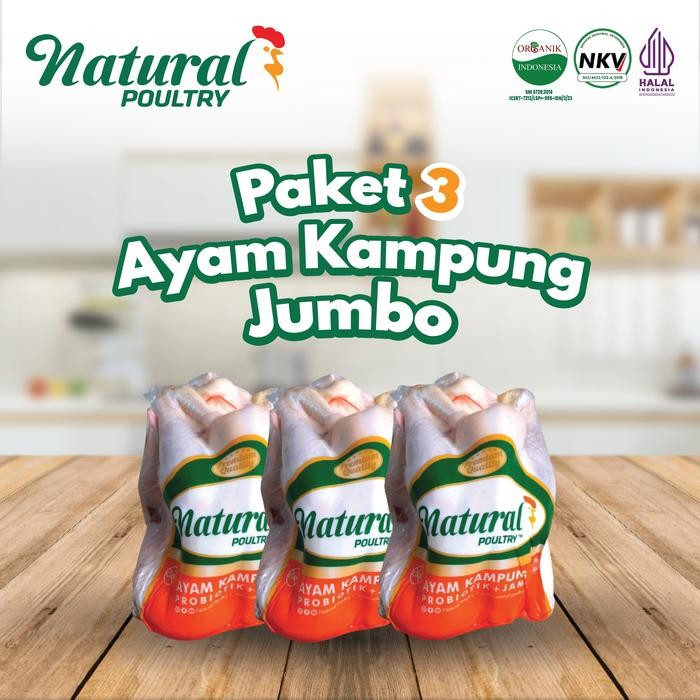 

Pilihan- Paket 3 Ayam Kampung Jumbo Organik Probiotik Natural Poultry