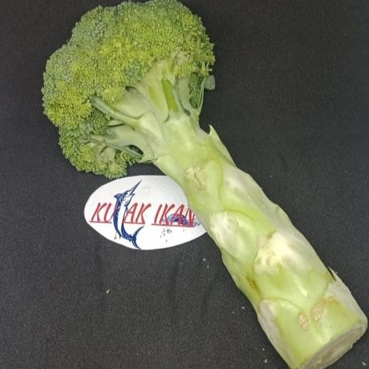 

Pilihan- Sayur Brokoli Hijau