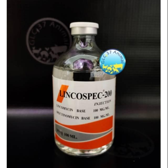 Pilihan- Lincospec 200 Lincospecs Obat Infeksi Pada Ayam Sapi Babi Kerbau Dll