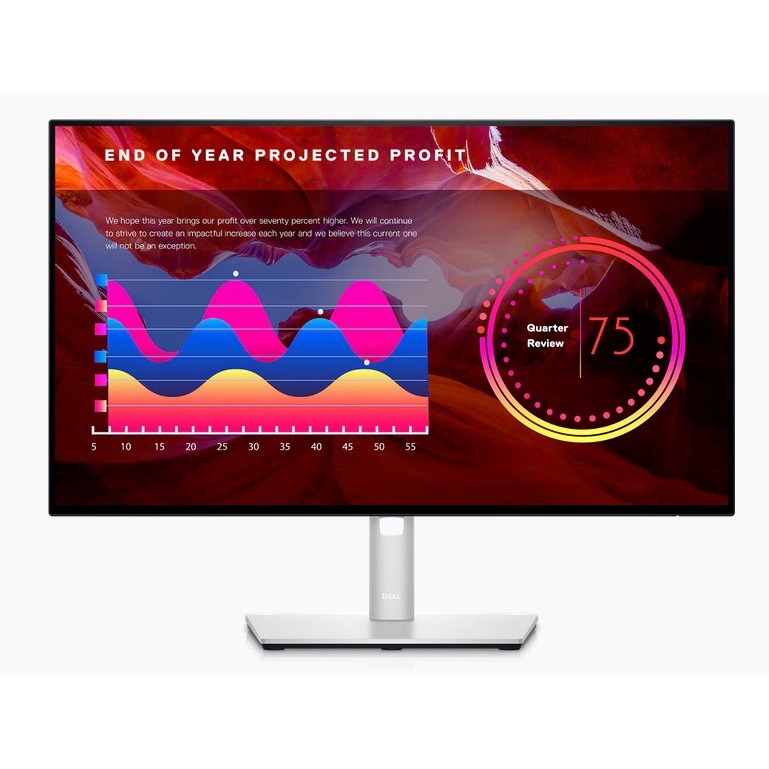 Dell UltraSharp 24 Inch Monitor - U2422H