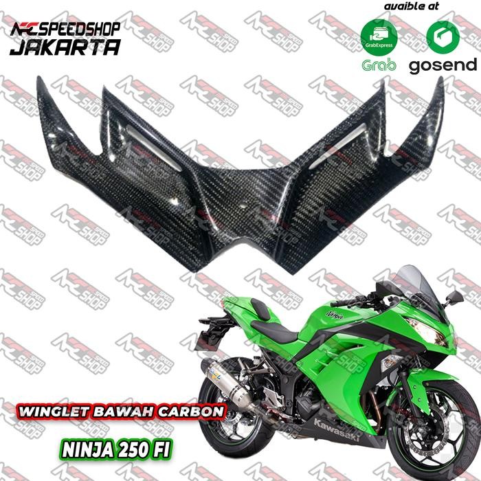Part Carbon Winglet Carbon Kevlar Ninja 250Fi Old