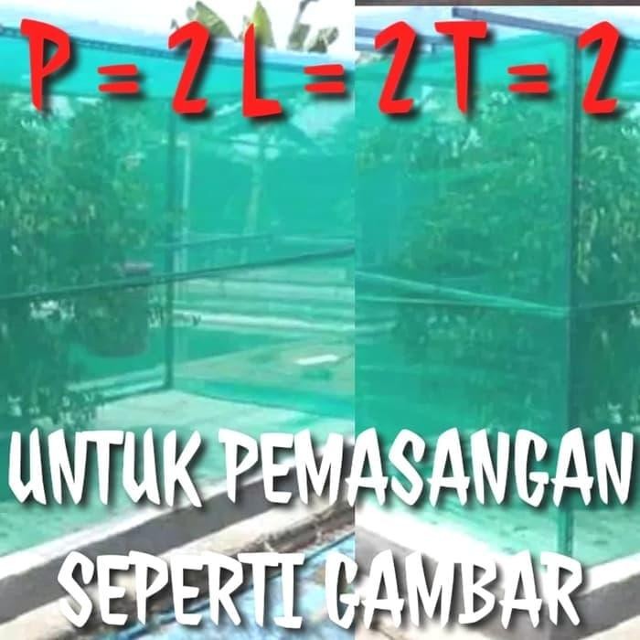 PROMO KANDANG JARING LALAT BSF MAGGOT 2X2X2