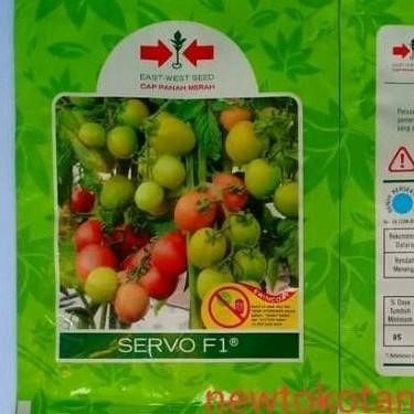 Stok Baru Benih tomat SERVO 1750 butir tomat hibrida dari panah merah