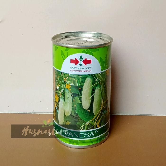 benih timun lalap vanesa cap panah merah 50 grm timun putih