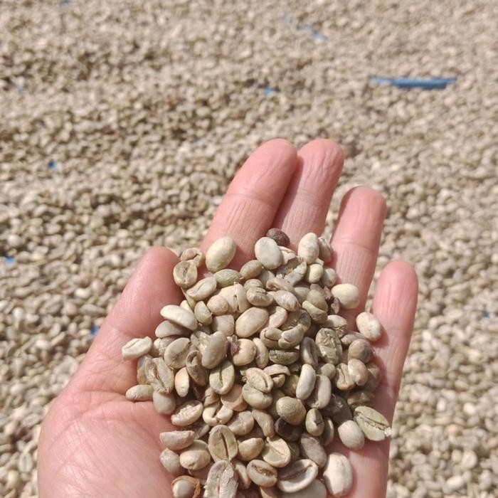 Biji Kopi Arabika 1Kg 1/2 Kg 1/4 Kg Biji Kopi Arabika Asalan Biji Kopi Arabica Biji Kopi Premium